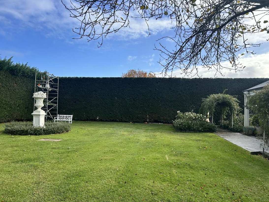 Formal garden — hedge & lawn care