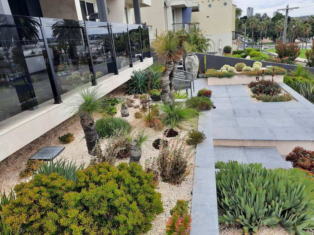 Front garden landscaping — in progress