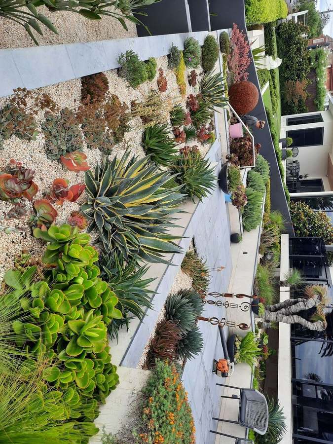 Front garden landscaping — taking shape