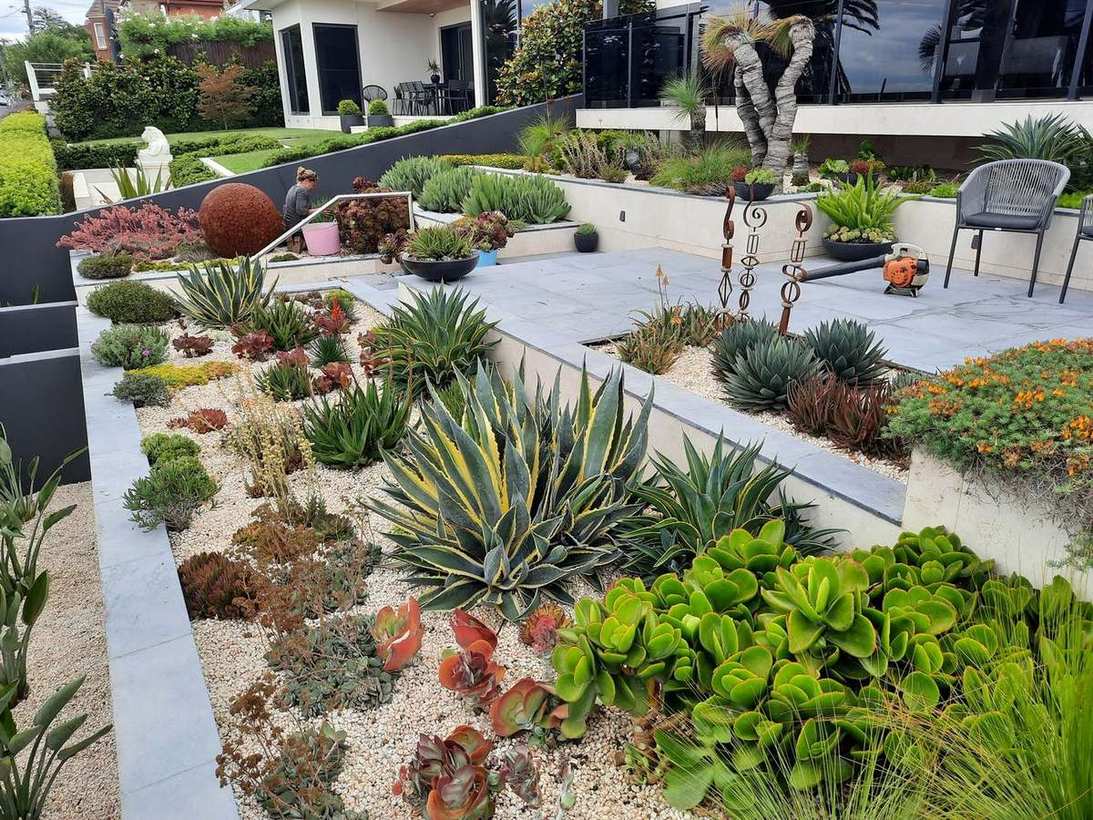 Front garden landscaping — taking shape