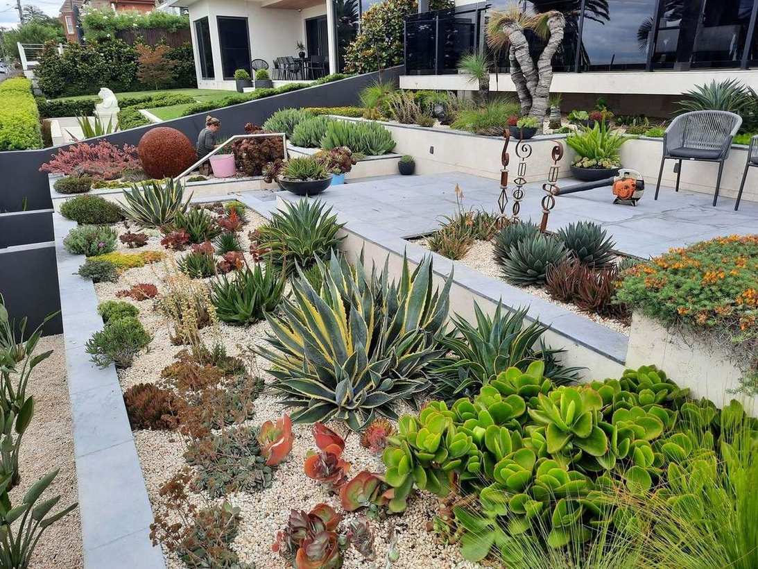 Front garden landscaping — taking shape