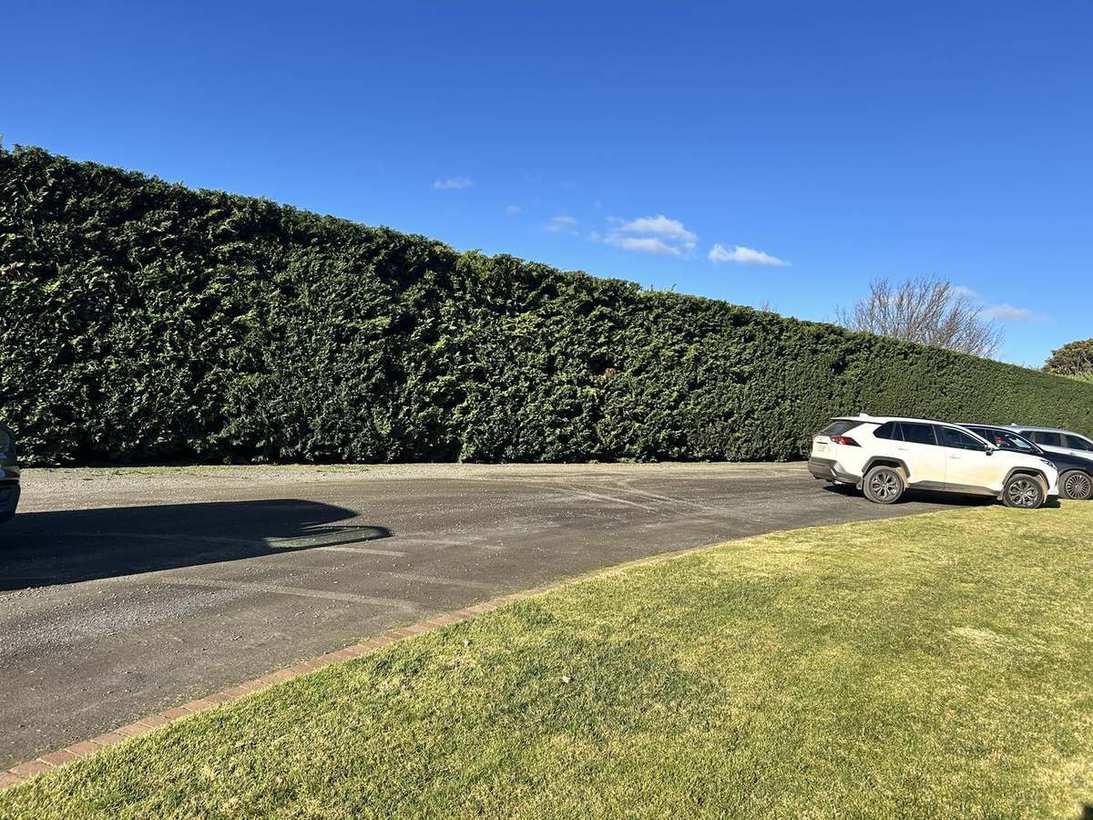 Hedge trimming — large scale