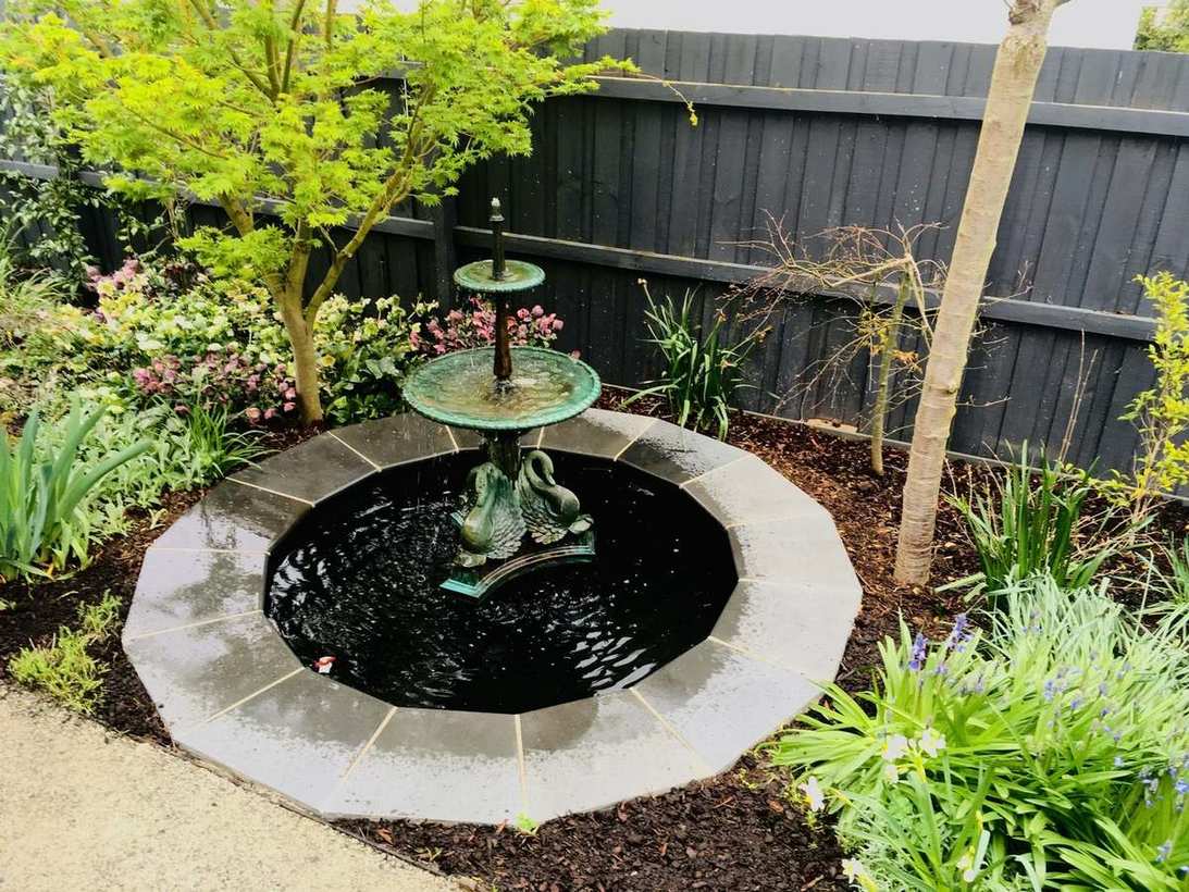 Howard Gardens — koi pond with aquatic plants