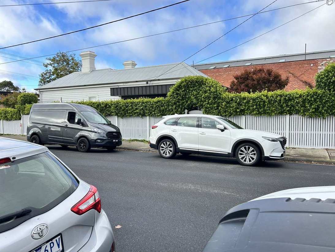 Street hedge & topiary — Geelong